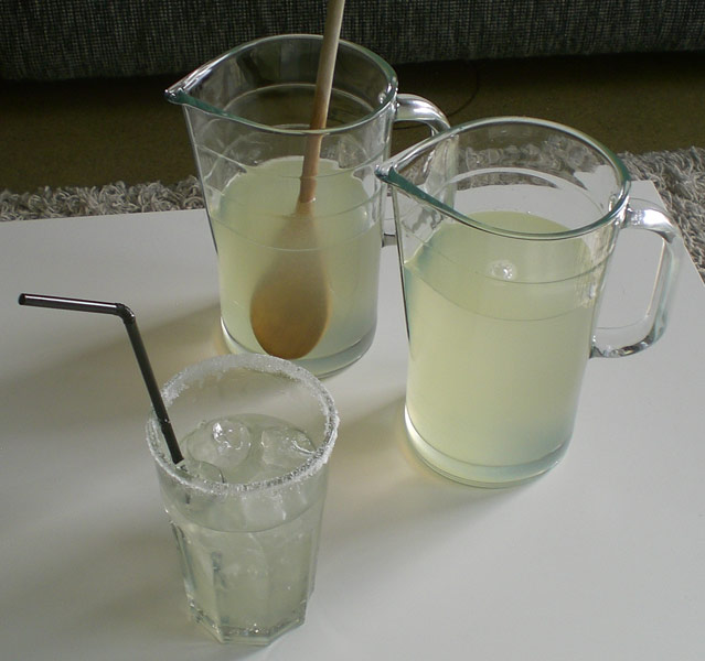 Homemade Lemonade // Rezept für selbstgemachte Limonade Rezept für hausgemachte Zitronenlimo, homemade Lemonade