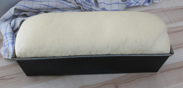 aufgegangener Teig für Weißbrot in einer Kastenform