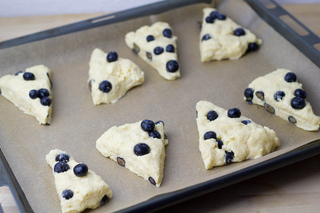 Die Teigstücke für die Scones mit Blaubeeren und Sahne werden auf ein Backblech gesetzt