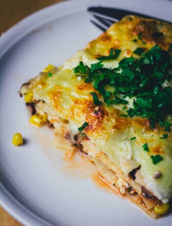 Den Nudelauflauf Lasagne mal anders als den italienischen Klassiker genießen: als Tex-Mex-Lasagne mit typisch amerikanisch-mexikanischen Aromen. Eine super Alternative zum Abendessen und ganz einfach und unkompliziert zubereitet! | moeyskitchen.com