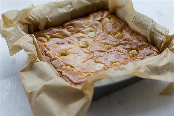 Blondies mit weißer Schokolade und gesalzenen Macadamianüssen, in der Backform