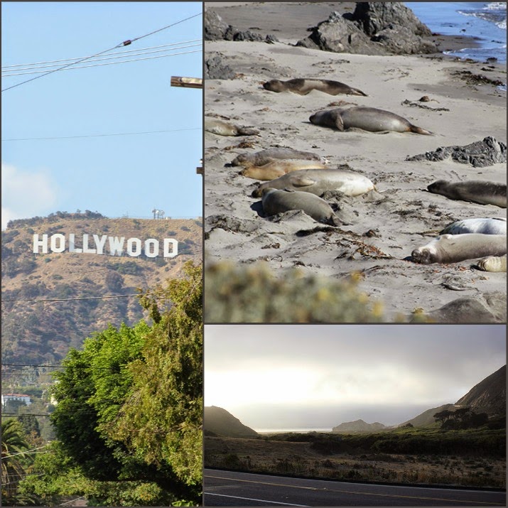 Kalifornien Collage mit Hollywood, Seelefanten und Route 1 Kalifornien Collage von links im Uhrzeigersinn: Hollywood Sign in LA, Seelefanten am Pazifik, Route 1