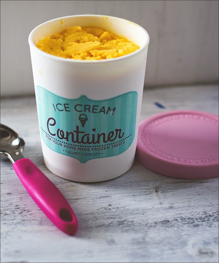 Mango-Eis mit Joghurt, in einem Ice Cream Container