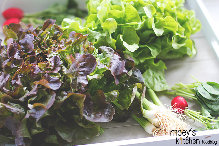 #7xregional mit REWE Regional - Gedanken zu regionalen Produkten und leckere regionale Rezepte frisches Gemüse aus der Region: Salat, Spargel, Radieschen, Spinat, Frühlingszwiebeln 7xregional für REWE Regional