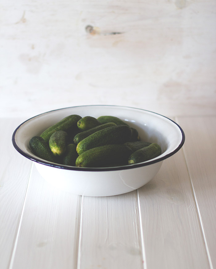 Rezept für eingelegte Gurken bzw. hausgemachte Gewürzgurken - als süßsaure Gurken oder Salzgurken Rezept für eingelegte Gurken bzw. hausgemachte Gewürzgurken - als süßsaure Gurken oder Salzgurken