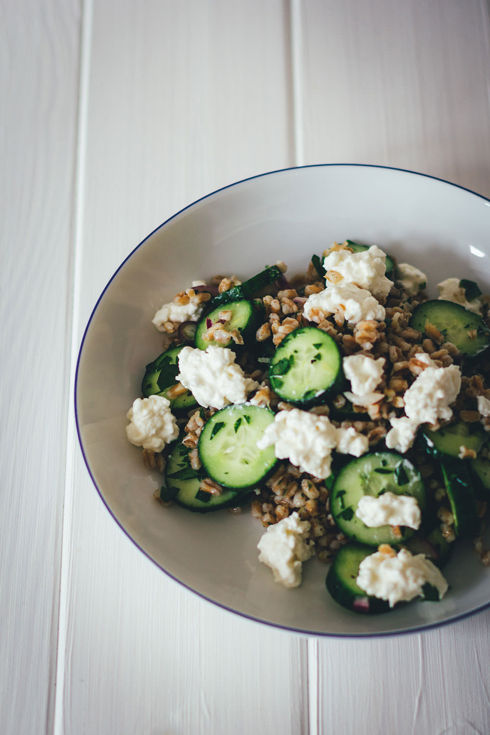 Rezept für Gurken-Dinkel-Salat | Gesunder und sättigender Gurkensalat mit vorgekochten Dinkelkörnern und Hüttenkäse | moeyskitchen.com #gurkensalat #gurken #salat #sommer #rezepte #foodblogger #dinkel #gesunderezepte