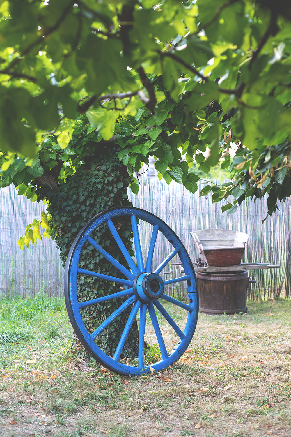 Kulinarischer Reisebericht durch Provence und Camargue mit dem französischen Landwirtschaftsministerium | moeyskitchen.com #provence #camargue #frankreich #reise #travel