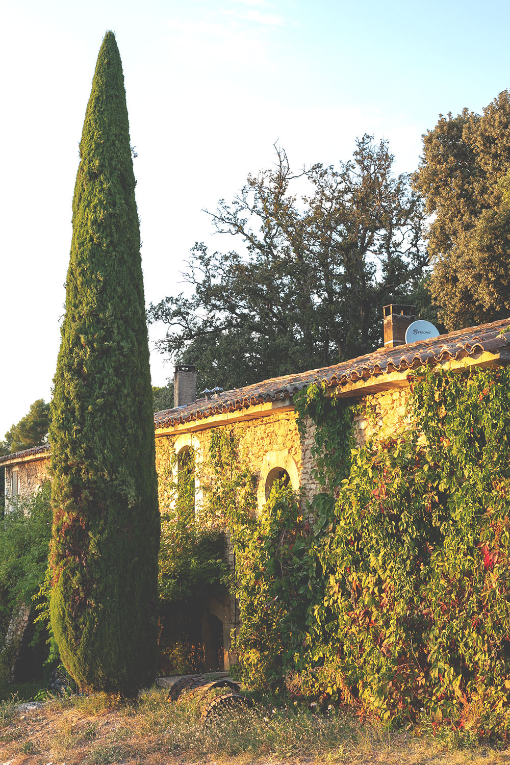 Kulinarischer Reisebericht durch Provence und Camargue mit dem französischen Landwirtschaftsministerium | moeyskitchen.com #provence #camargue #frankreich #reise #travel