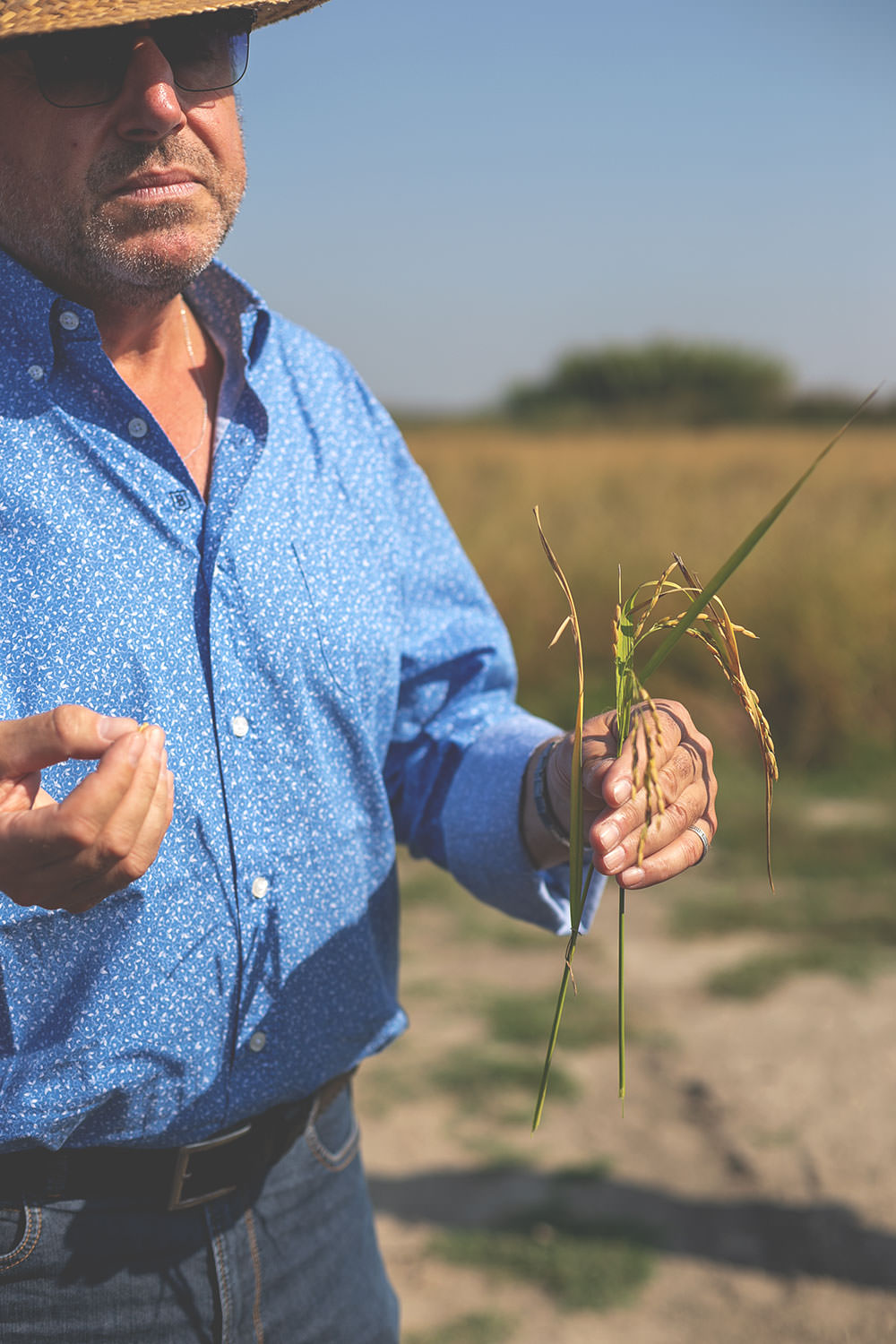 Kulinarischer Reisebericht durch Provence und Camargue mit dem französischen Landwirtschaftsministerium | moeyskitchen.com #provence #camargue #frankreich #reise #travel