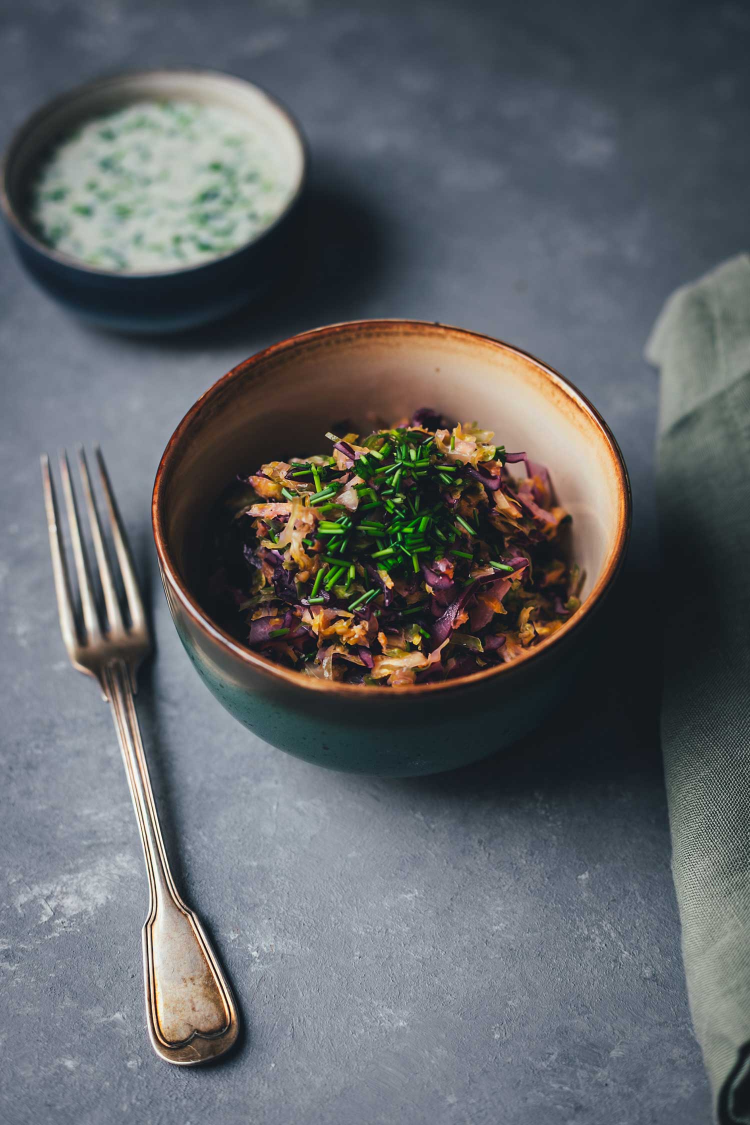 Schüssel mit buntem Krautsalat und Schnittlauch, daneben eine Gabel – im Hintergrund eine kleine Schale mit cremigem Dressing.