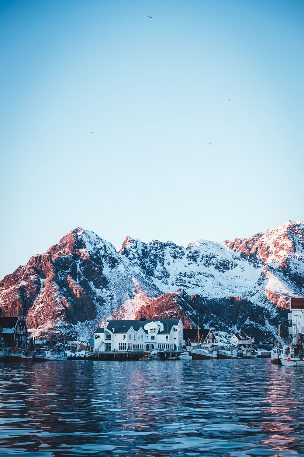 Abenteuer Lofoten - beim Skrei-Fischen in Norwegen | Pressereise mit Seafood from Norway nach Nord-Norwegen | moeyskitchen.com #skrei #lofoten #norwegen #norway #fischen #travel #foodblogger