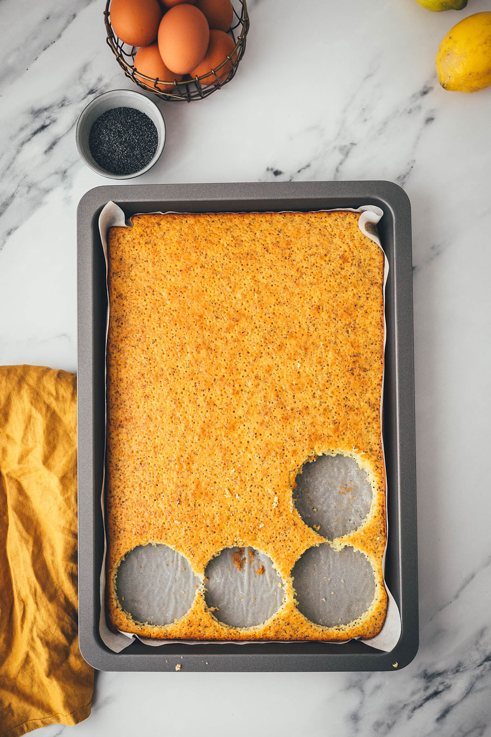 Entzückende Zitronen-Mohn-Törtchen mit weißer Schokoladen-Ganache – als kleine Torte im Einmachglas geschichtet und damit perfekt zum Mitnehmen und Verschenken! Saftiger Rührkuchen wird auf dem Blech gebacken, ausgestochen und abwechselnd mit einer leckeren Schoko-Ganache ins Glas drapiert. Gut verschlossen halten die kleinen Törtchen ein paar Tage im Kühlschrank. Auch perfekt für das Picknick draußen oder einen Spaziergang, zum Beispiel als Geburtstagstorte für eine Person oder einen anderen schönen Anlass. Es gibt immer einen Grund zu feiern! | moeyskitchen.com
