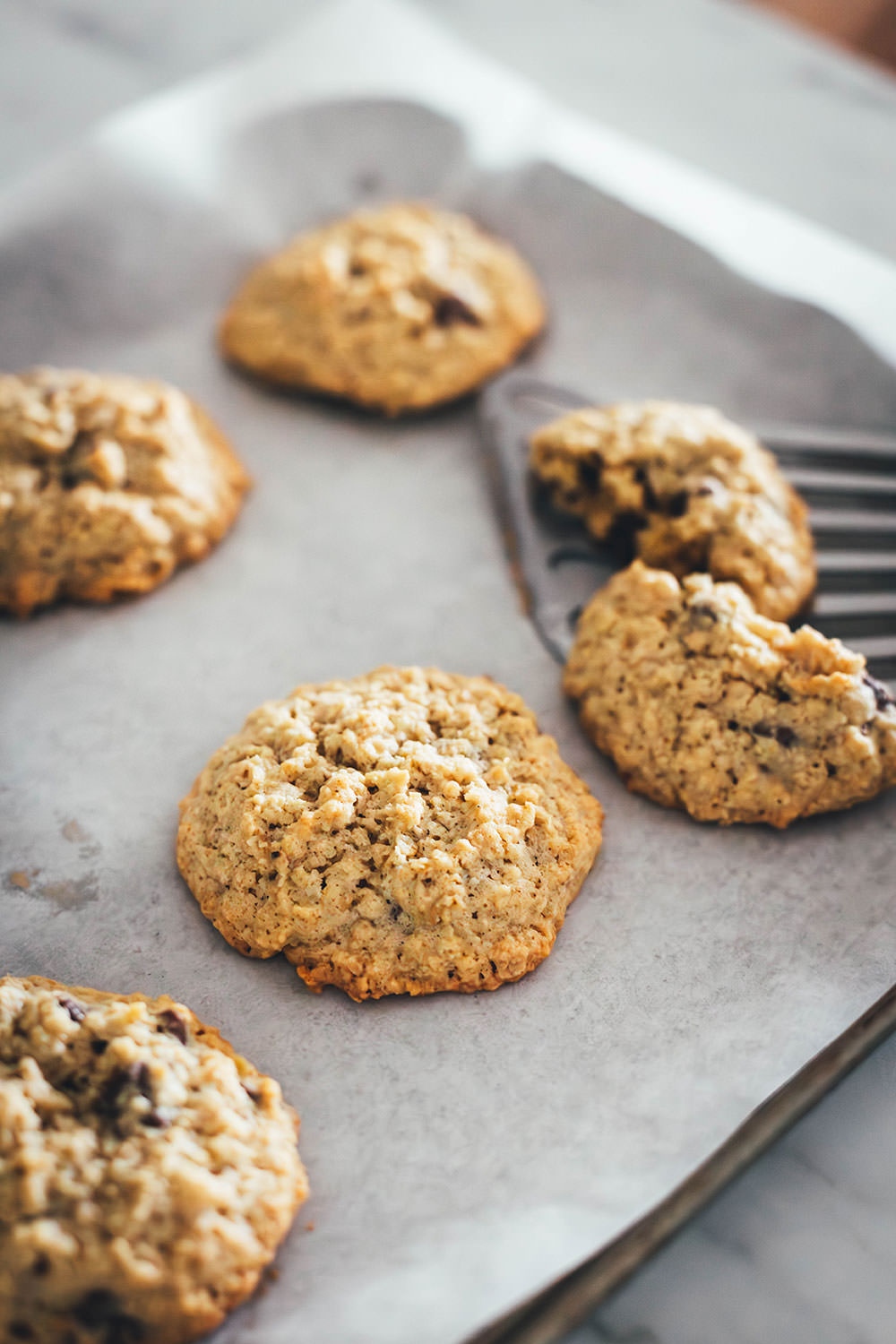 Die besten Haferflocken Cookies – Chocolate Chip Oatmeal Cookies - moey ...