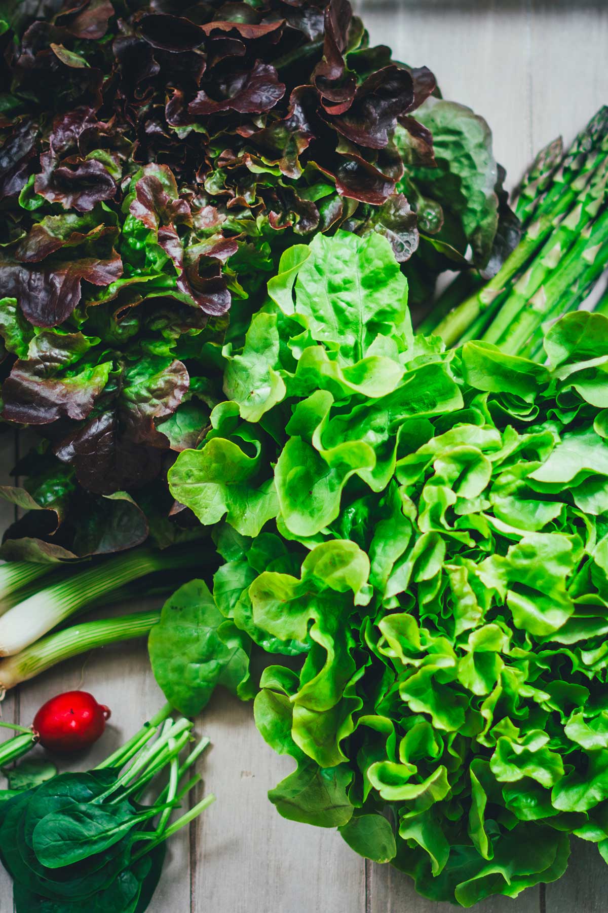 Rezept für frischen, grünen Frühlingssalat aus Blattsalaten, Babyspinat, grünem Spargel, weißem Spargel, knackigen Radieschen und einem leckeren Honig-Senf-Dressing als Salatsauce. Ein regionaler und saisonaler Salat, der blitzschnell zubereitet ist! | moeyskitchen.com