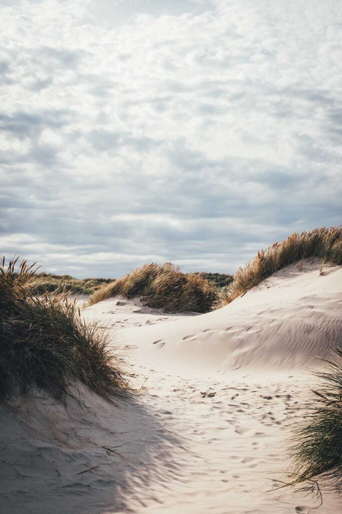 Dünen im Naturschutzgebiet um Fjand herum: Husby Klitplantage | moeyskitchen.com