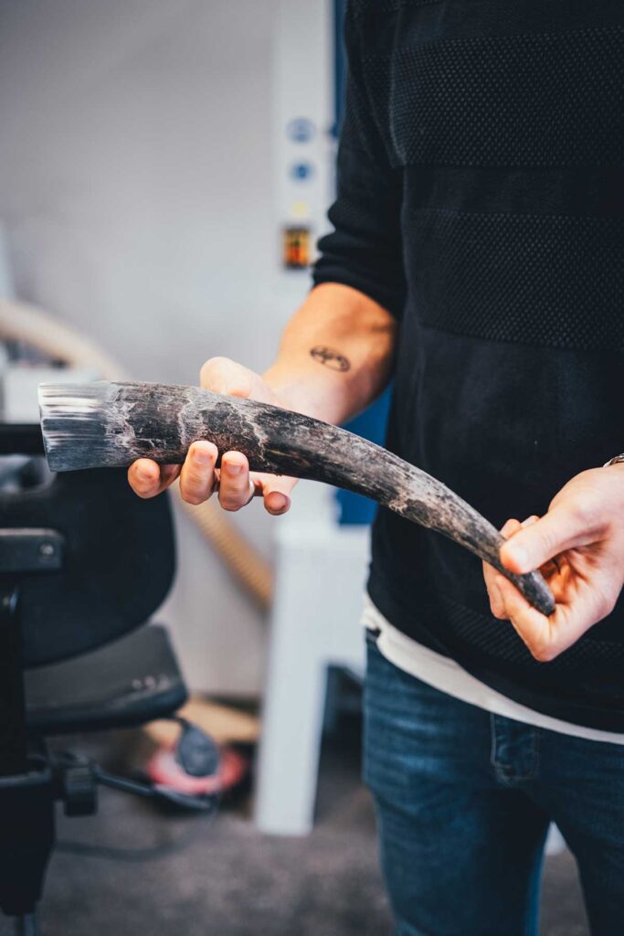 Ein Kuhhorn vor der Verarbeitung in der Hornfabrik | moeyskitchen.com